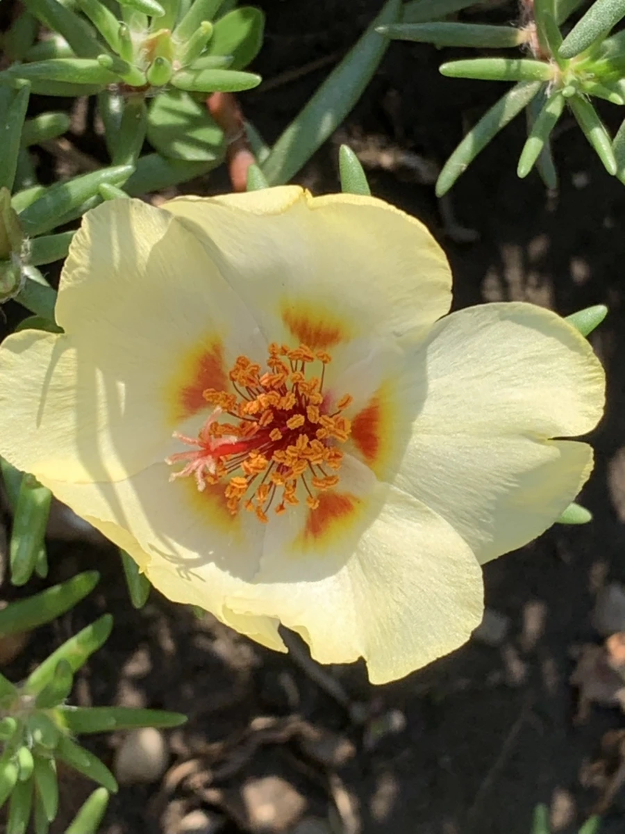 IMG_8390.jpg?type=w966