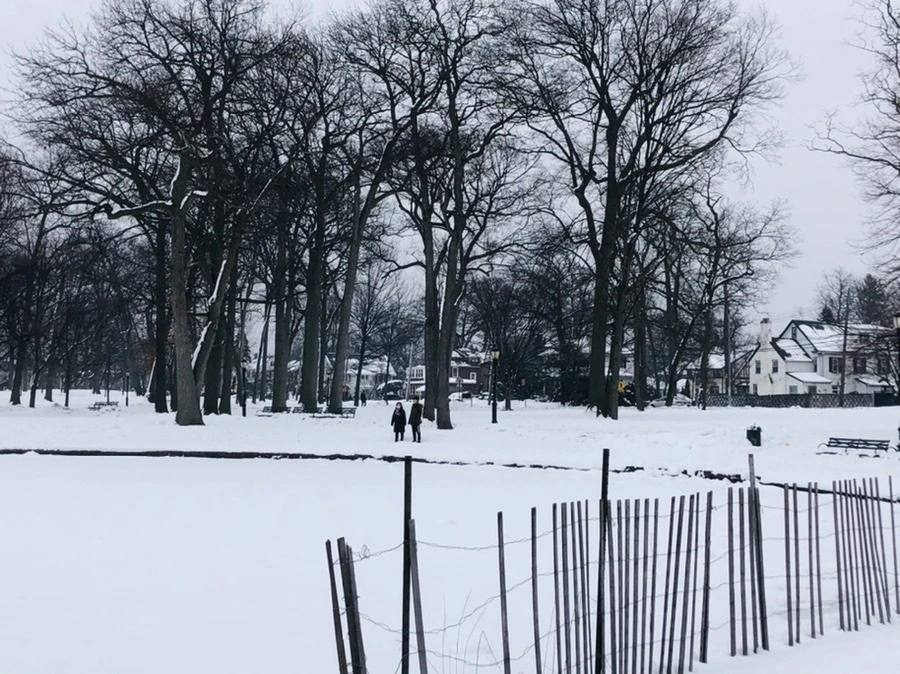 41hDD9TbrpQ7_zELyMqWtBLrgtQ