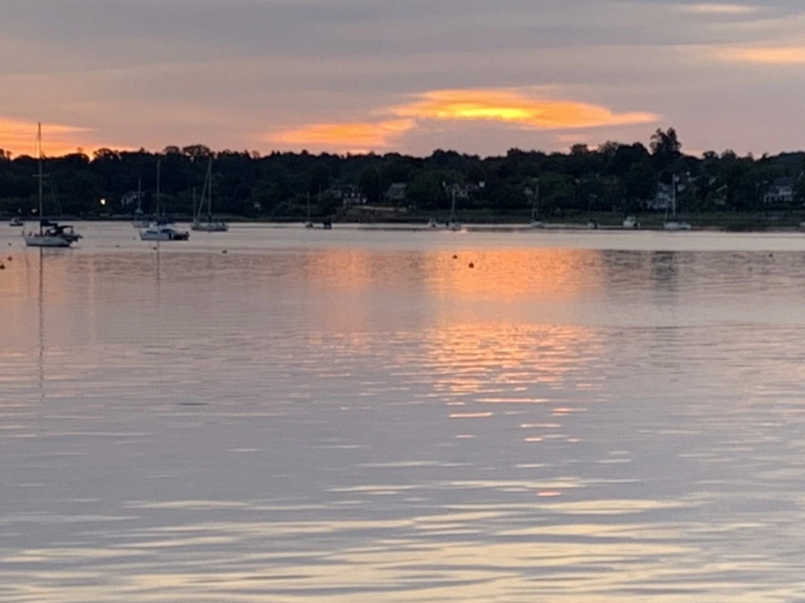 IMG_5919.jpg?type=w966