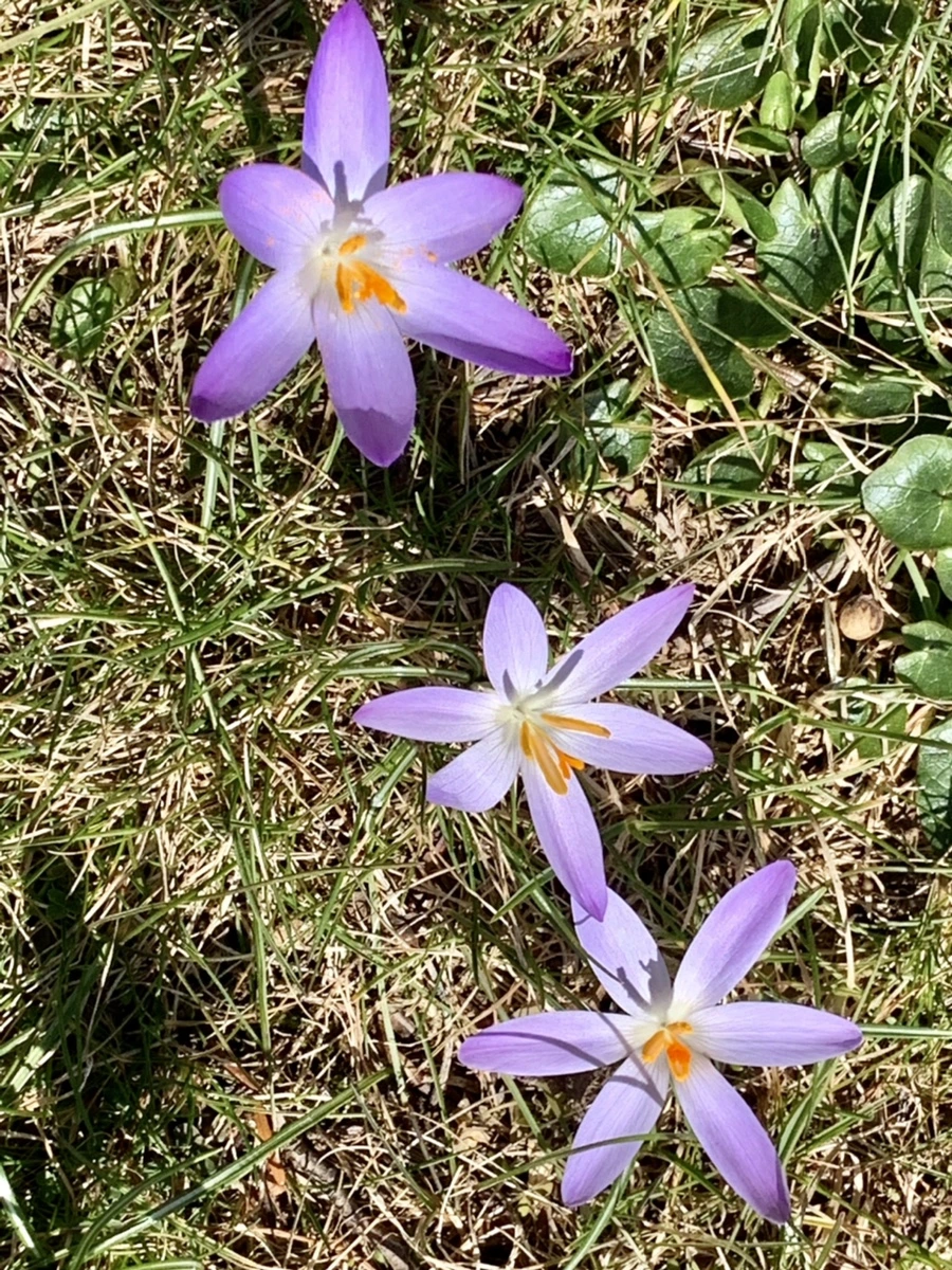 IMG_9196.jpg?type=w966