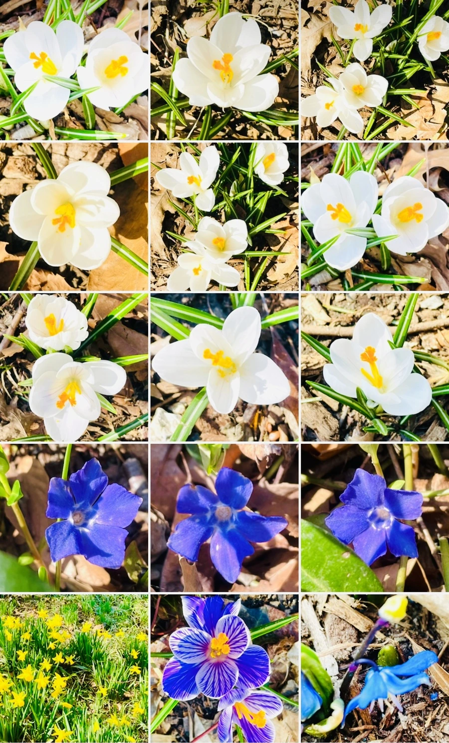 IMG_5657.jpg?type=w966