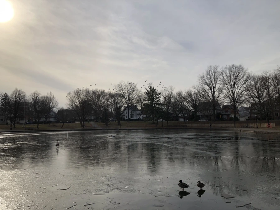 IMG_1988.jpg?type=w966