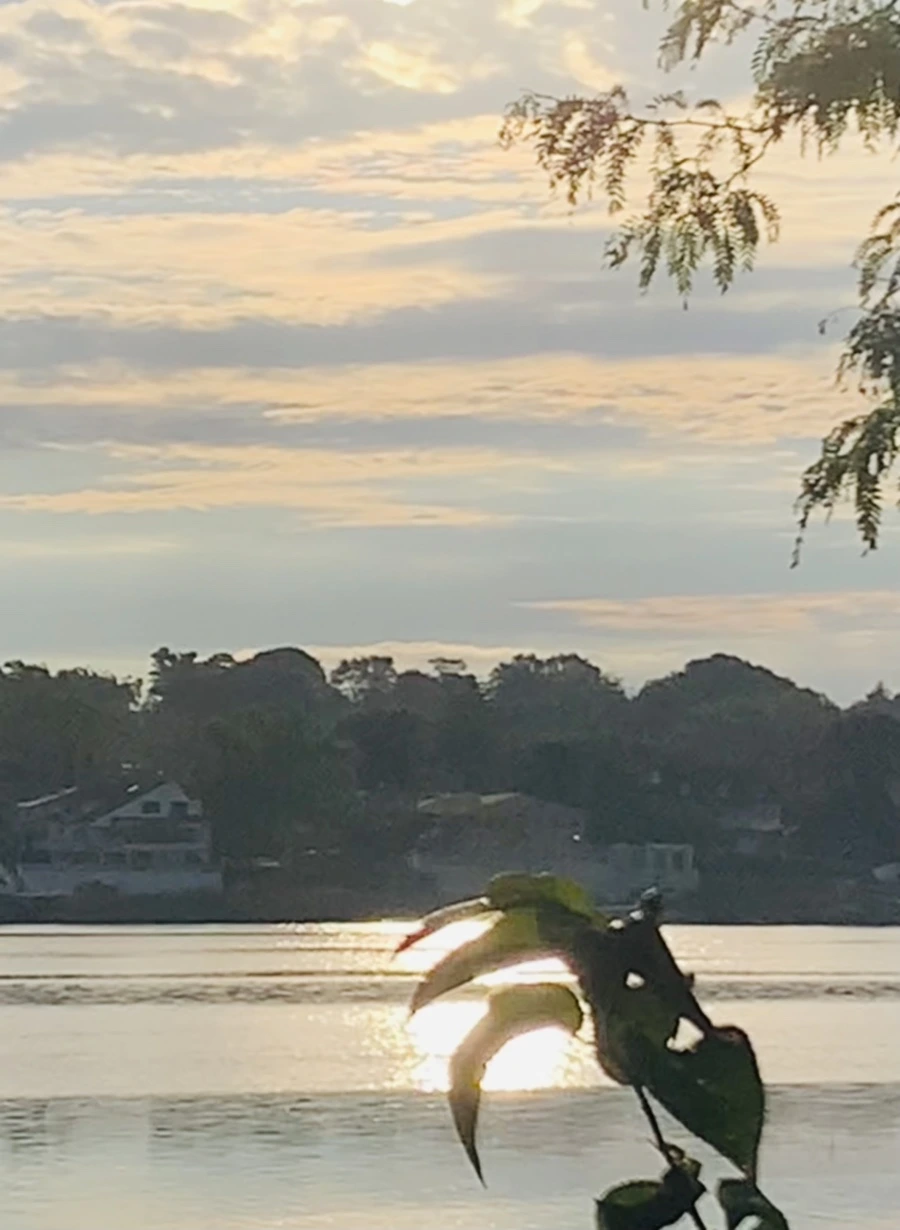 IMG_7774.jpg?type=w966