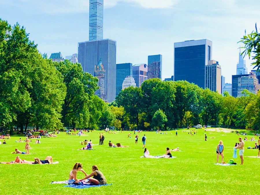 IMG_9513.jpg?type=w966