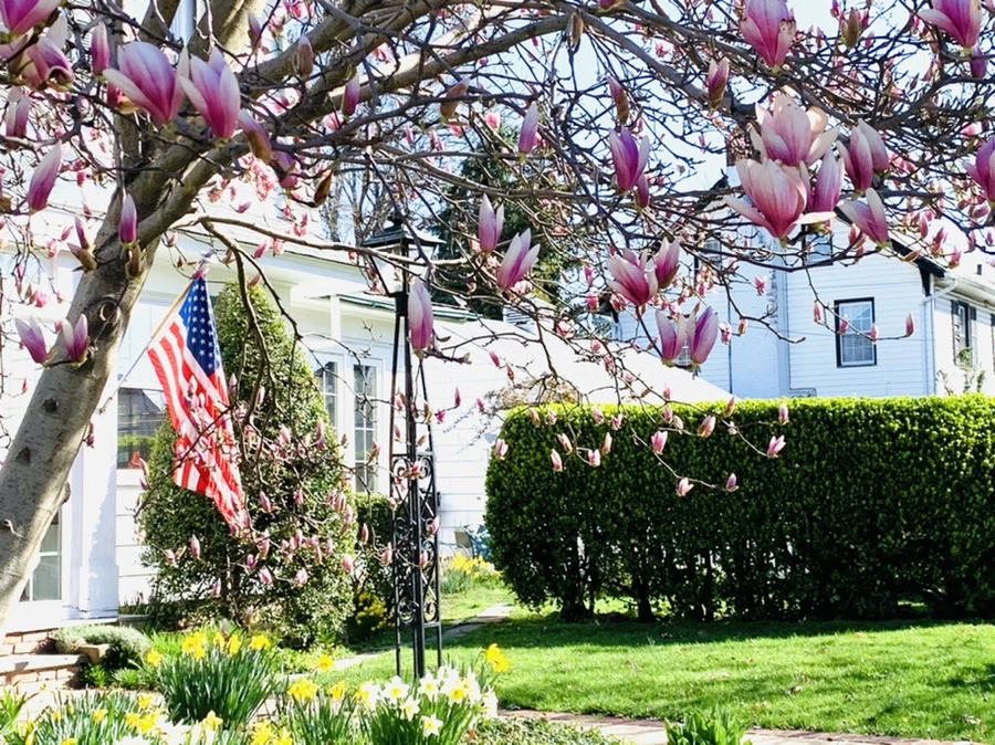 IMG_7520.jpg?type=w966