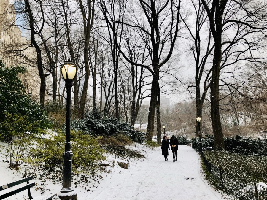 IMG_3740.jpg?type=w966