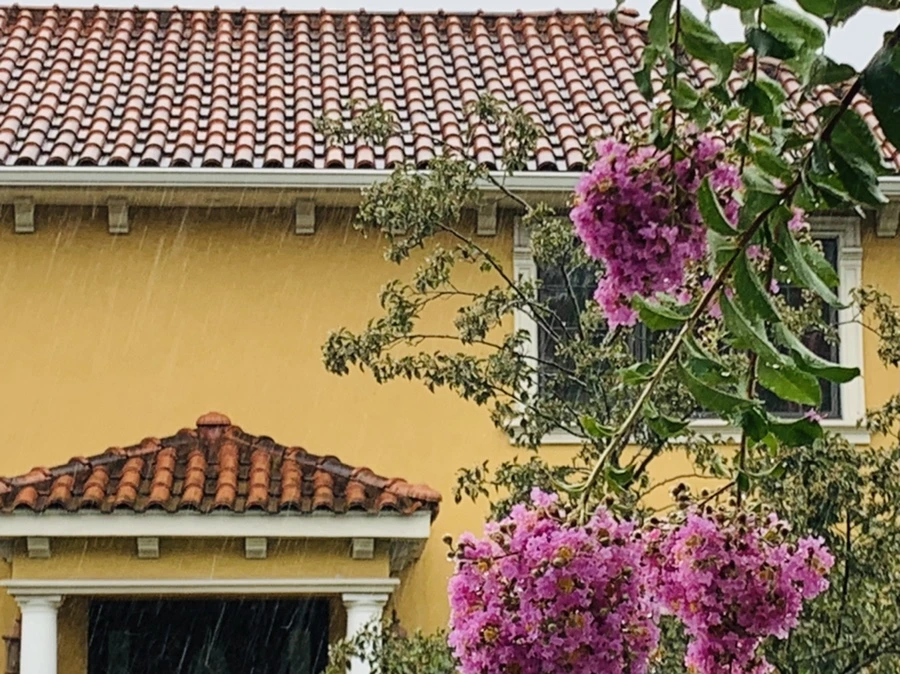 IMG_3790.jpg?type=w966