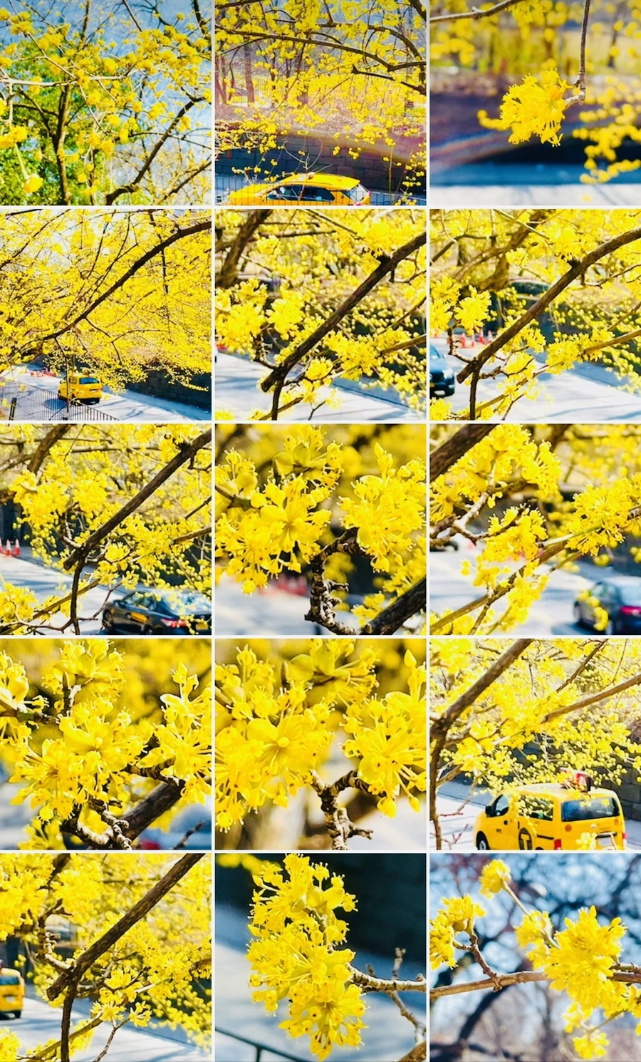 IMG_5665.jpg?type=w966