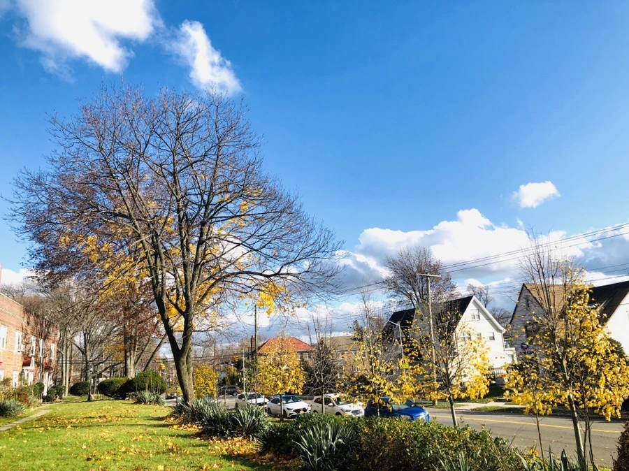 IMG_5785.jpg?type=w966