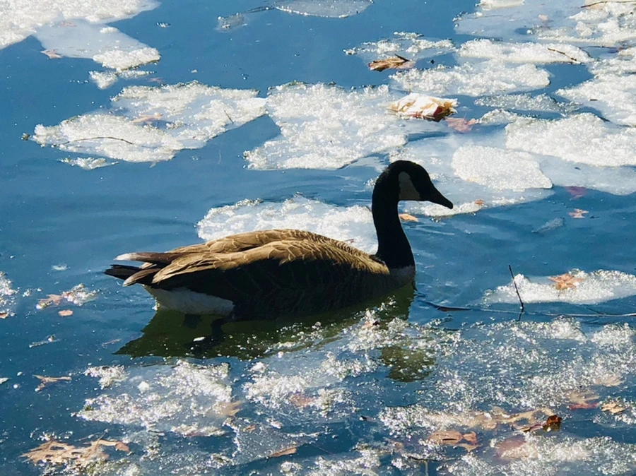 IMG_5088.jpg?type=w966