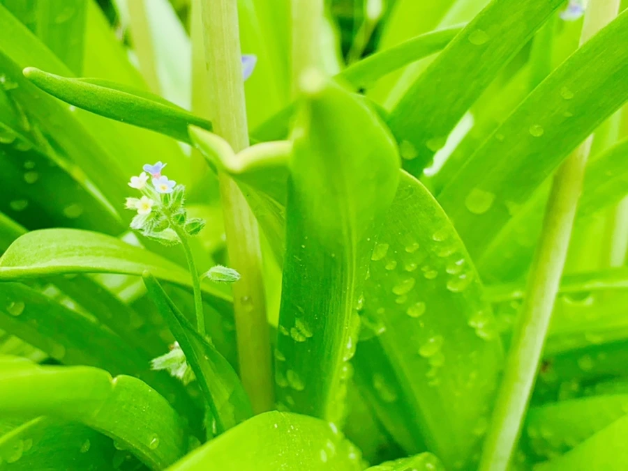 IMG_9584.jpg?type=w966