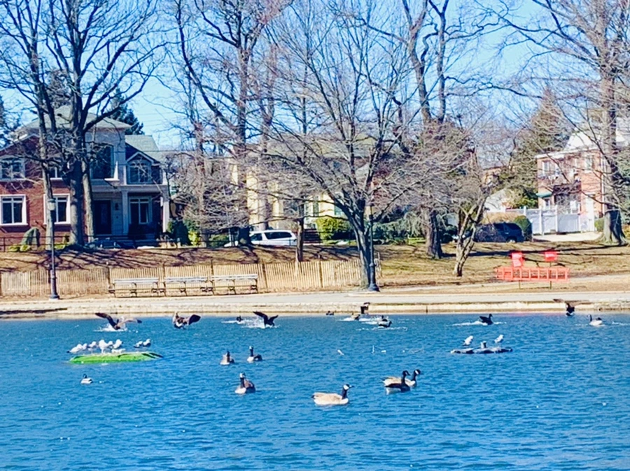 IMG_6640.jpg?type=w966