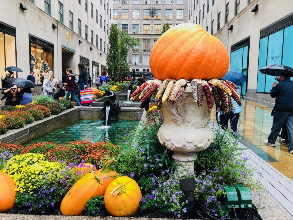 IMG_E0373.jpg?type=w966