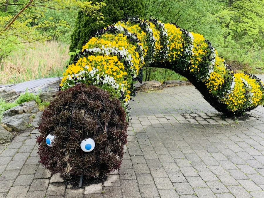 IMG_9812.jpg?type=w966