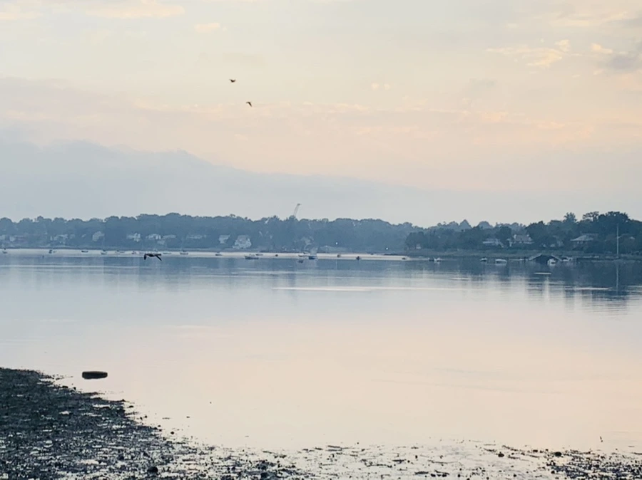 IMG_8218.jpg?type=w966