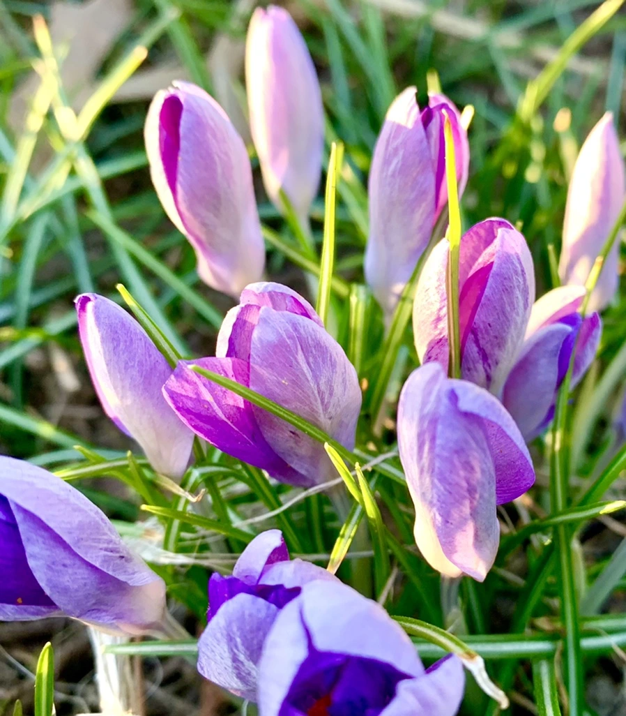 IMG_0757.jpg?type=w966