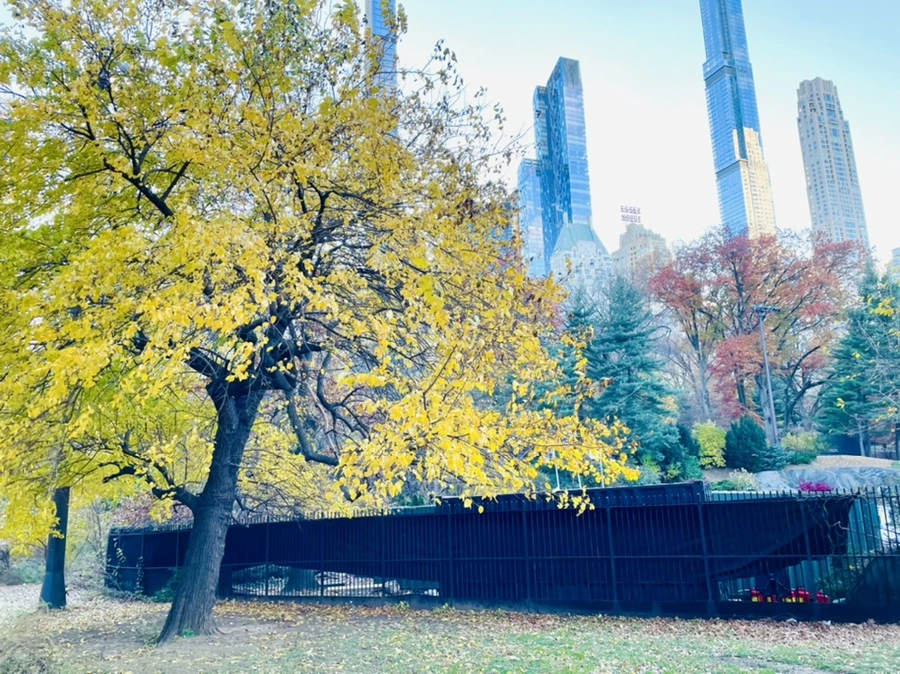 IMG_5035.jpg?type=w966