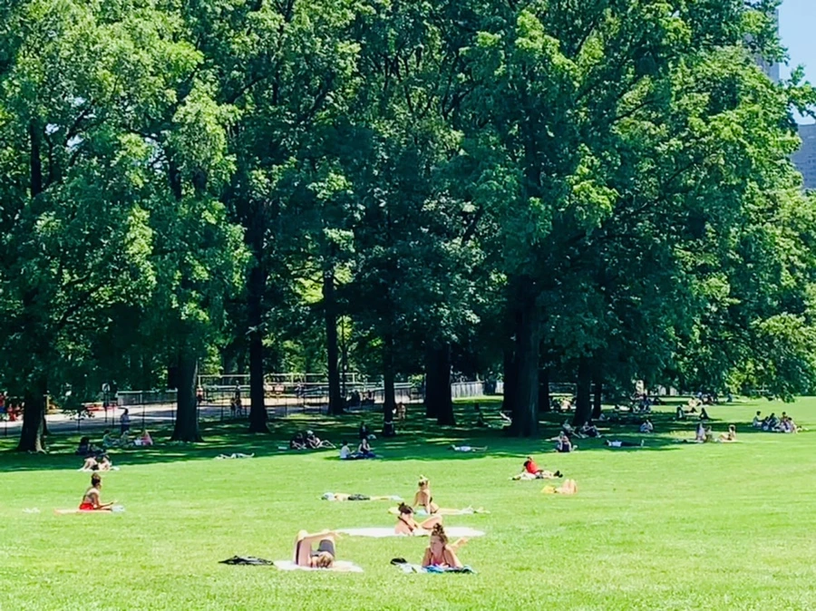 IMG_4948.jpg?type=w966