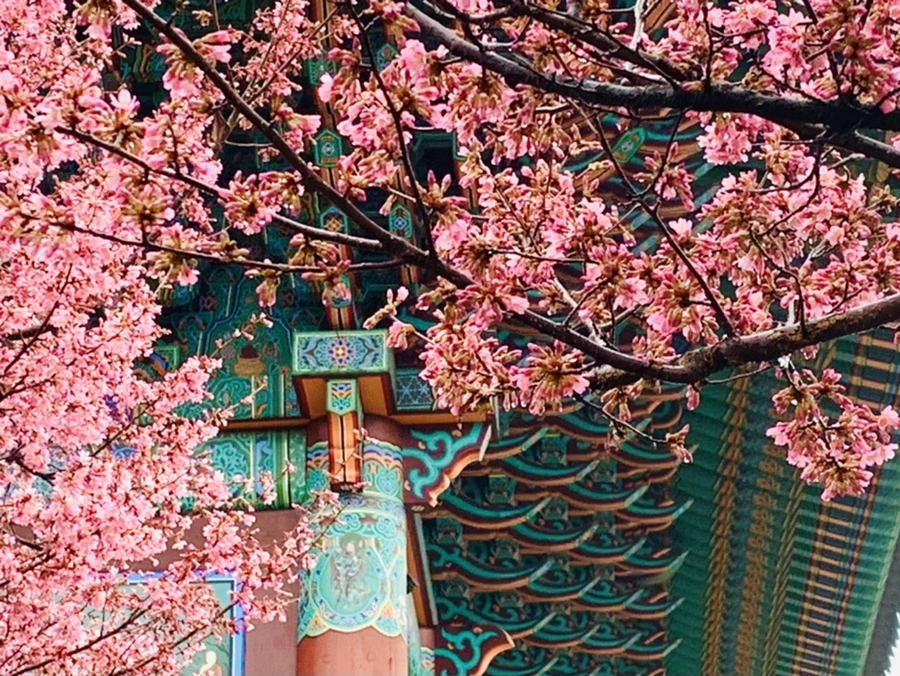 IMG_5251.jpg?type=w966