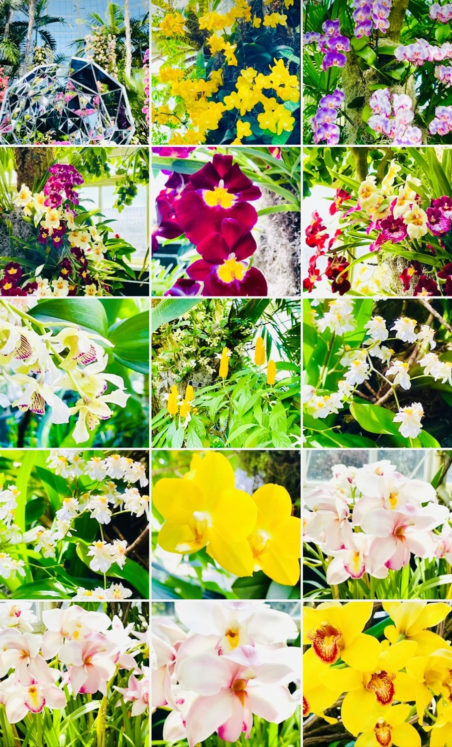 IMG_6763.jpg?type=w966