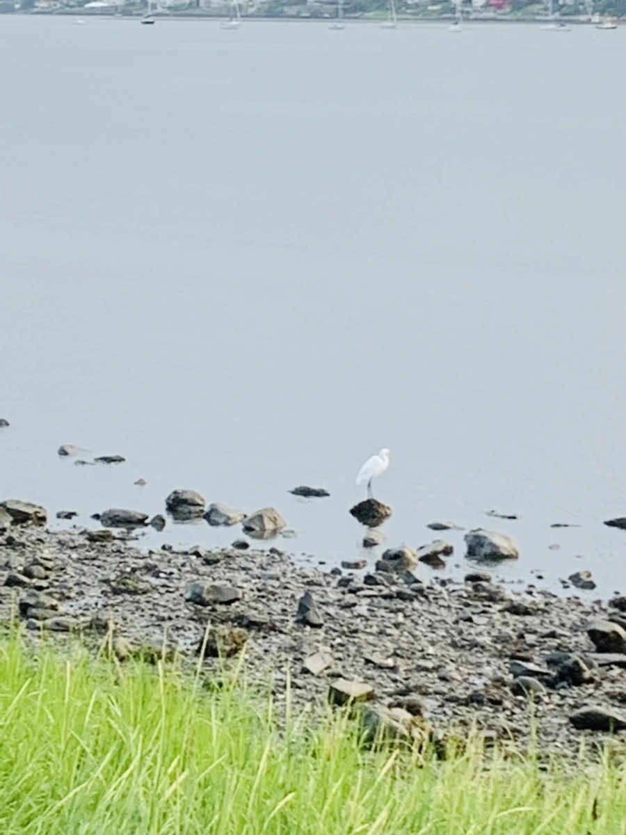 IMG_0665.jpg?type=w966