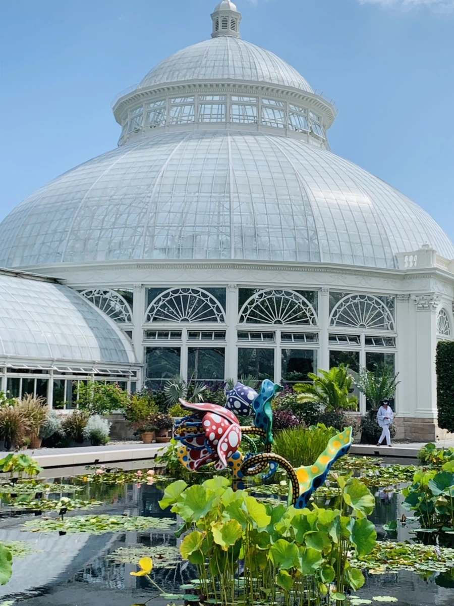 IMG_9055.jpg?type=w966