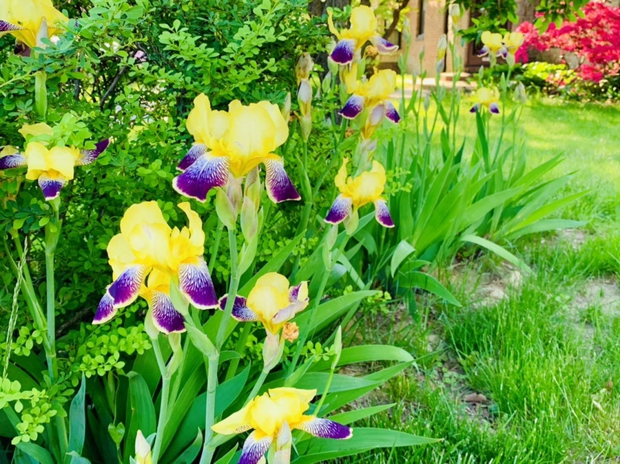 IMG_3362.jpg?type=w966