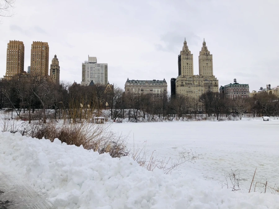 IMG_9479.jpg?type=w966