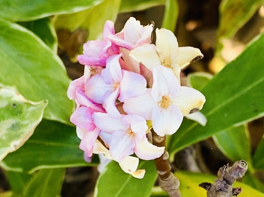 IMG_5780.jpg?type=w966