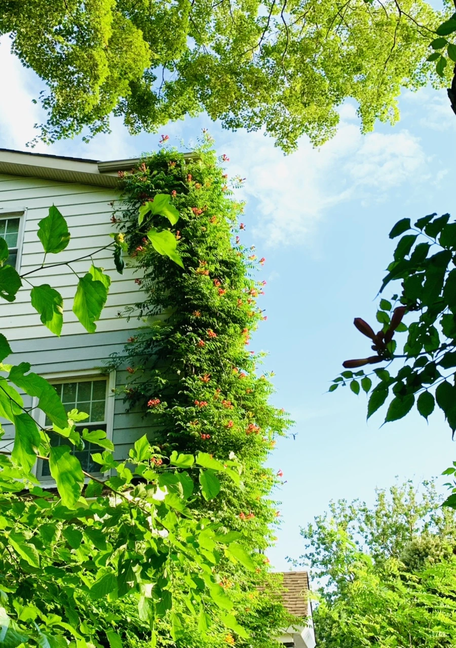 IMG_5843.jpg?type=w966