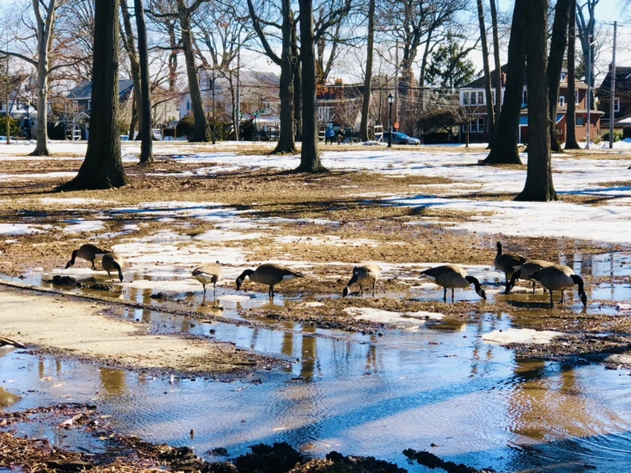 IMG_4985.jpg?type=w966