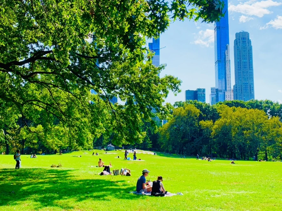 IMG_9677.jpg?type=w966