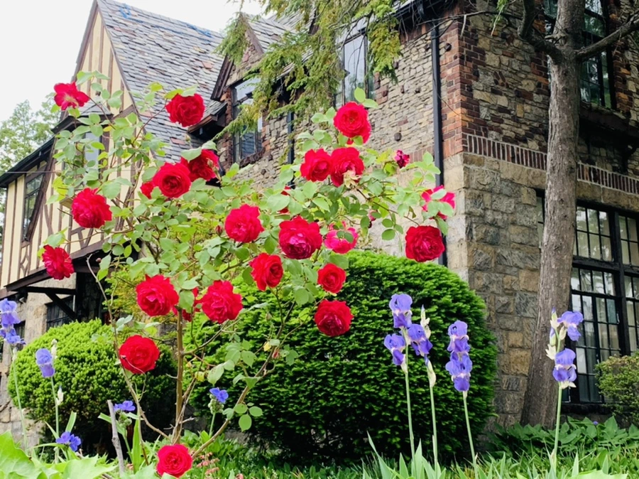 IMG_5388.jpg?type=w966