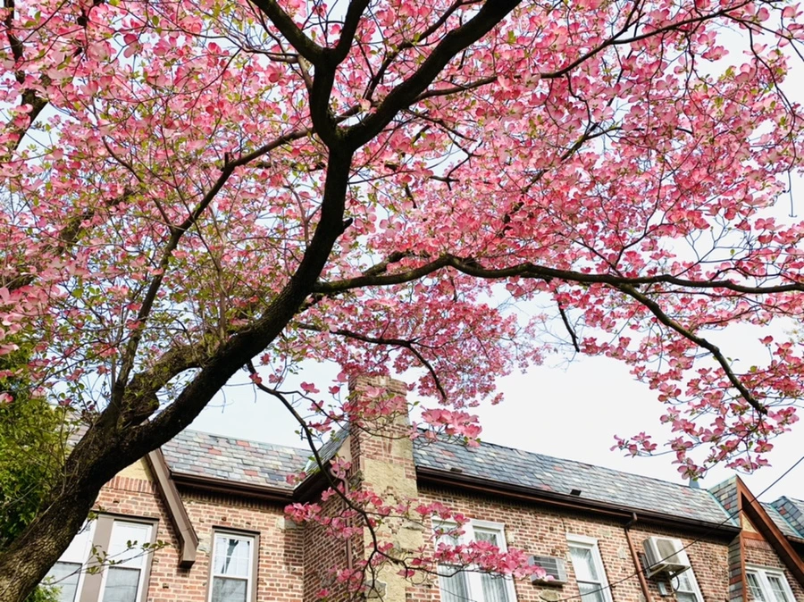 IMG_6805.jpg?type=w966