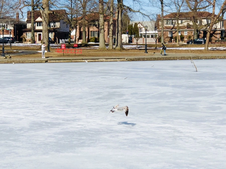 IMG_4857.jpg?type=w966