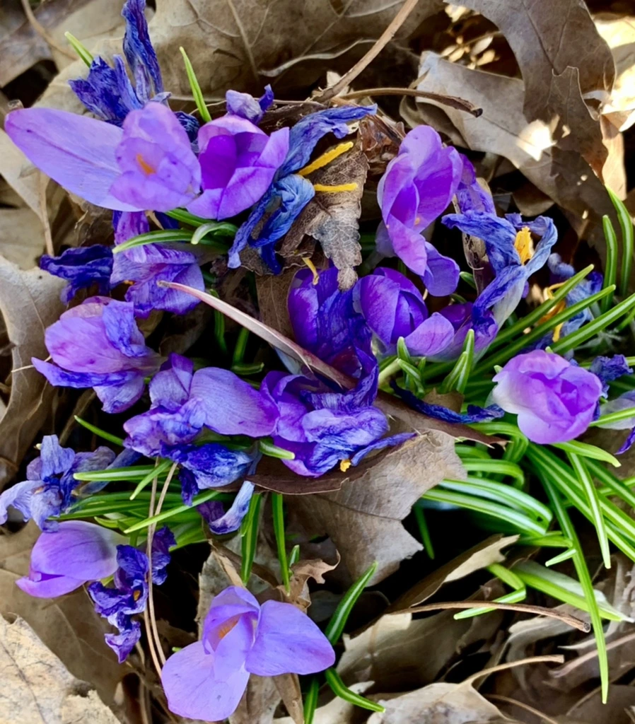 IMG_1431.jpg?type=w966