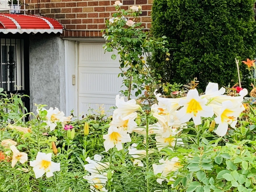 IMG_5946.jpg?type=w966