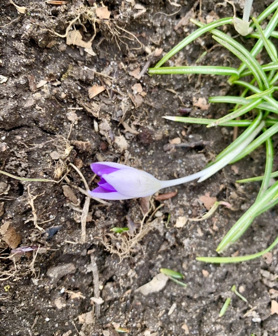 bw7Npb2YhCPlSGuTeSrebc8aQCc