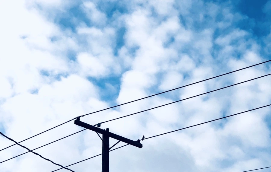 IMG_9692.jpg?type=w966