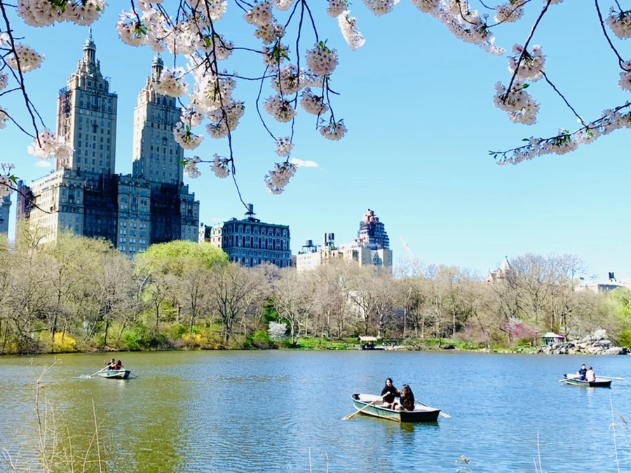 IMG_1911.jpg?type=w966