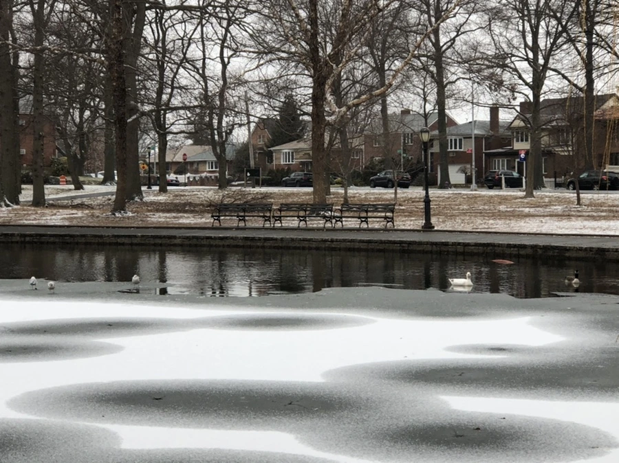 IMG_6180.jpg?type=w966