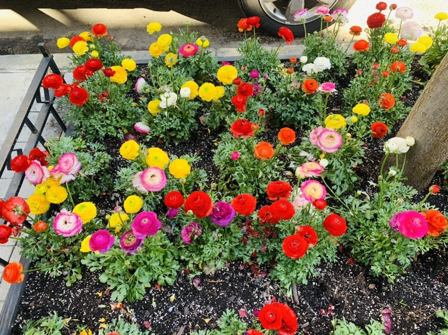 IMG_5405.jpg?type=w966