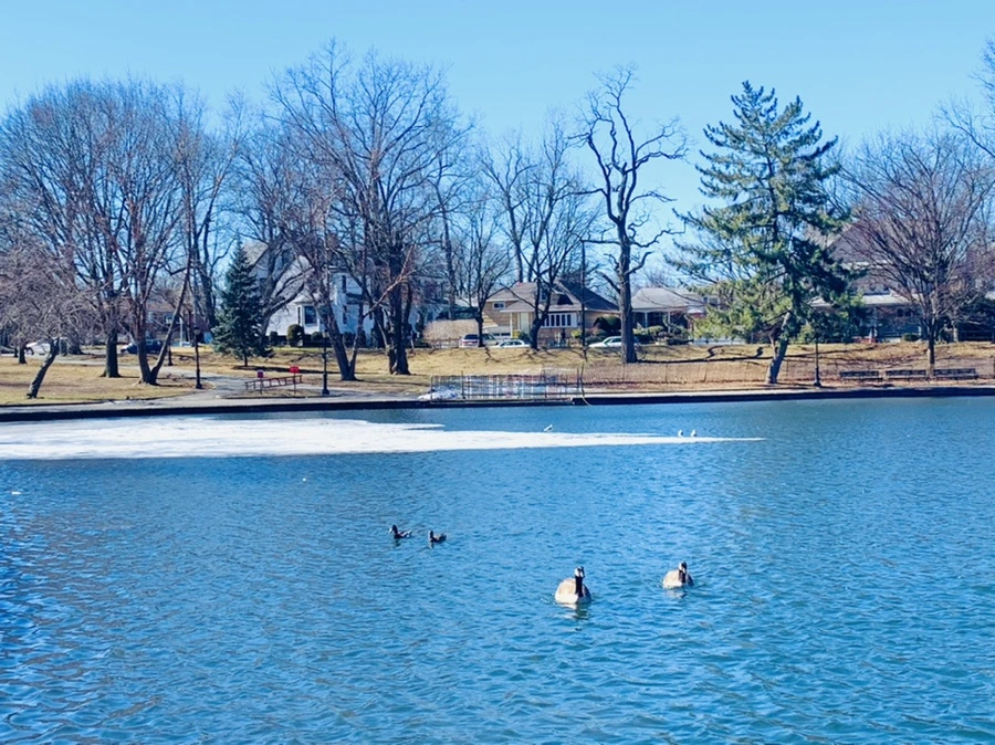 IMG_6632.jpg?type=w966