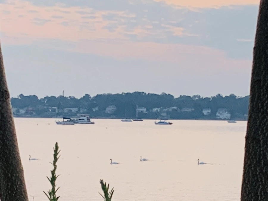 IMG_2301.jpg?type=w966