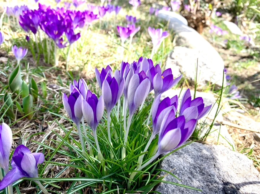 IMG_0962.jpg?type=w966