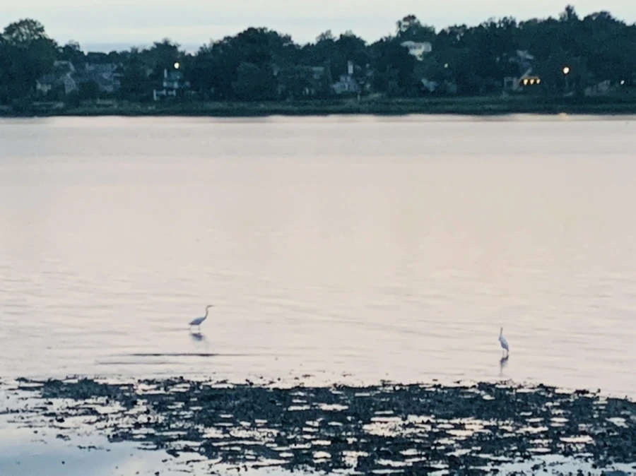 IMG_9545.jpg?type=w966