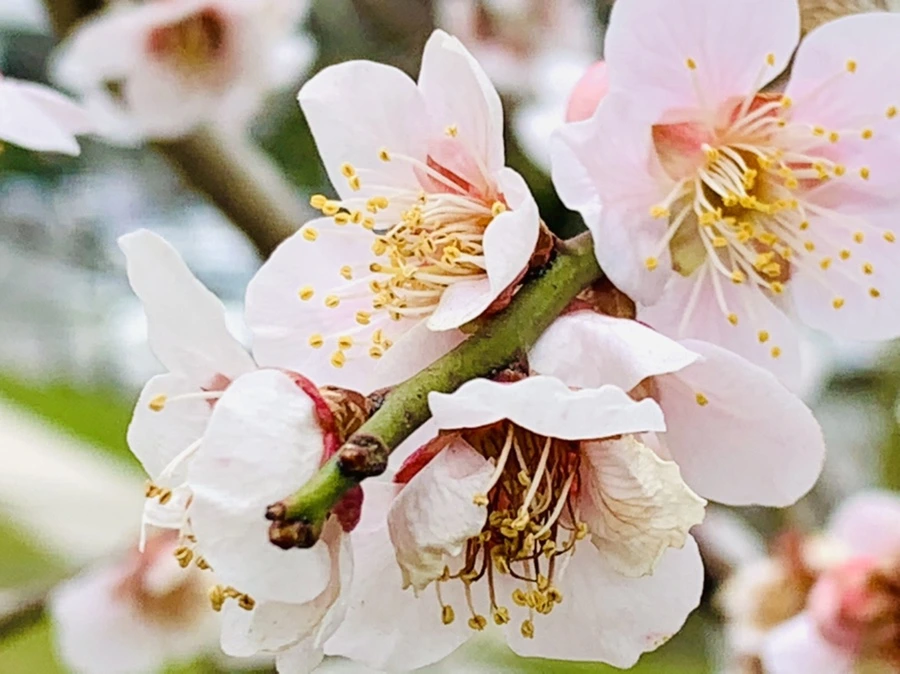 IMG_3556.jpg?type=w966