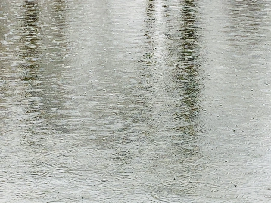 IMG_2094.jpg?type=w966