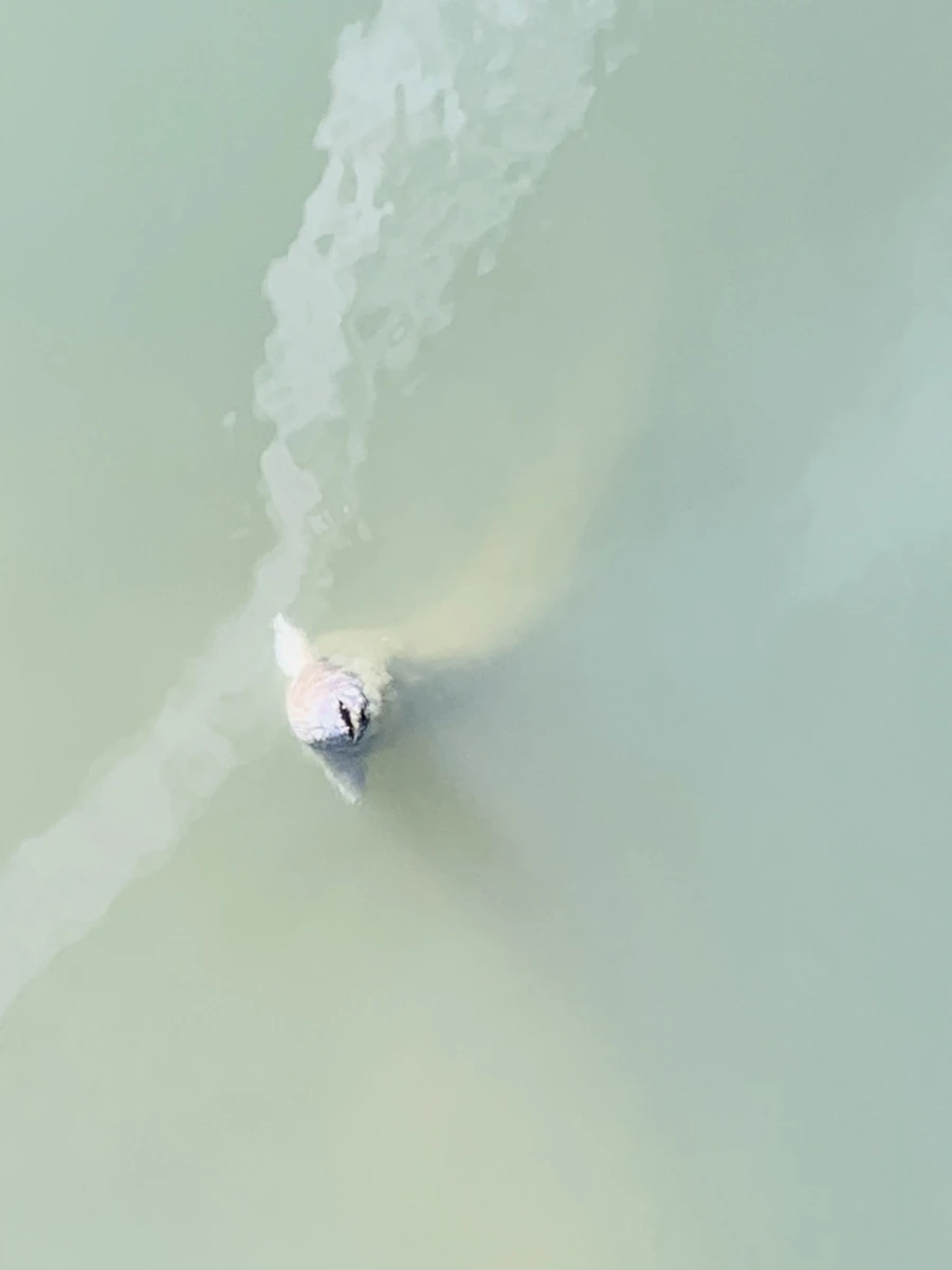 IMG_0614.jpg?type=w966