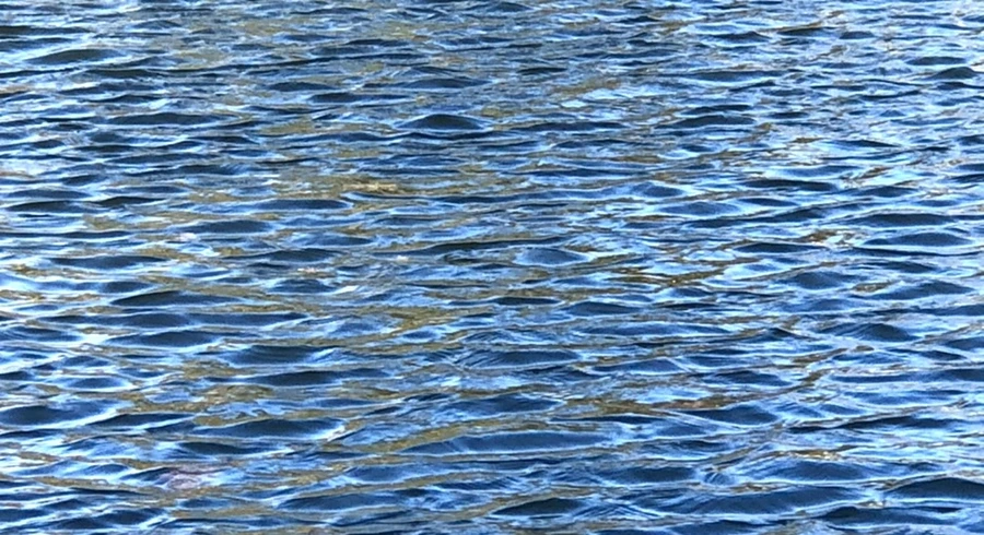 IMG_3881.jpg?type=w966